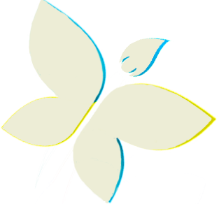 cropped-LOGO-NEDARTE2.png